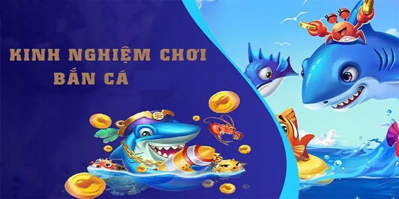 Thủ thuật săn cá đổi thưởng cho ngư thủ